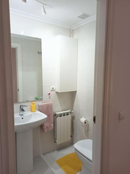 Bajo Con Jardin Privado Apartman Santender Kültér fotó