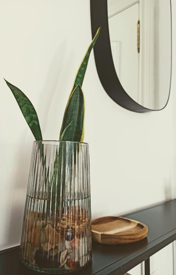 Bajo Con Jardin Privado Apartman Santender Kültér fotó