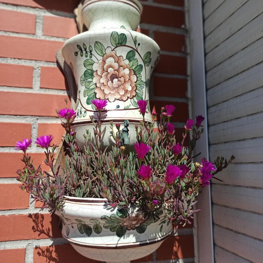 Bajo Con Jardin Privado Apartman Santender Kültér fotó